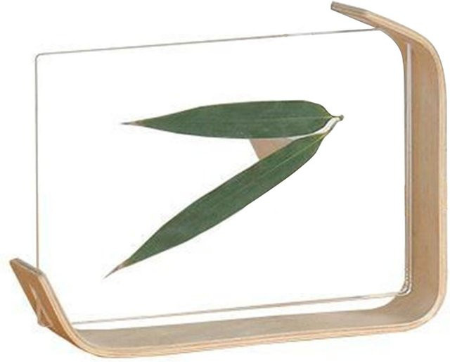 CosyHome Tischpflanzen-Präsentationsrahmen aus Holz und Acryl in Grau, moderner Fotorahmen für den Tischschmuck - Bild 1