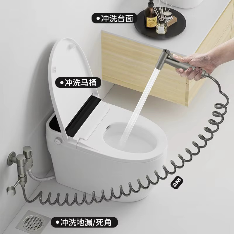 Brangdy Handheld WC Bidet Sprayer Set aus Edelstahl in Silber oder Schwarz - Bild 1