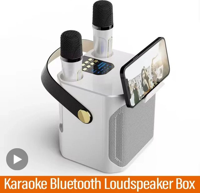 Tragbarer AyeBeau Karaoke Bluetooth Lautsprecher mit Mikrofon und Subwoofer in Weiß - Bild 1