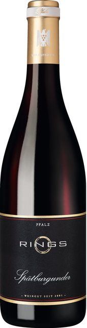 Rings Rotwein Pinot Noir 2023, Pfalz, trocken, 0,75 l - Bild 1