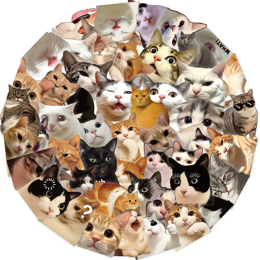50 Stück transparente Retro-Cartoon-Katze Aufkleber aus PET, wasserfeste DIY-Dekor-Sticker für Zeitschriften, Gitarren und Notizbücher von Anime Worlds Store - Bild 2