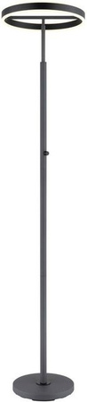 GLOBO Stehlampe aus Aluminium und Acryl in Schwarz Anthrazit, Höhe: 181 cm, Breite: 40 cm