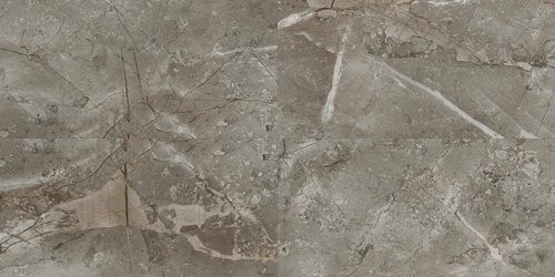 VILO SPC Wandverkleidung Marble Skin in Grau, B: 120 cm, H: 60 cm - Bild 1