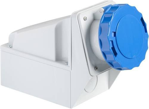 Schneider Electric CEE Wandsteckdose 63A 250V IP67 in Blau - Bild 1