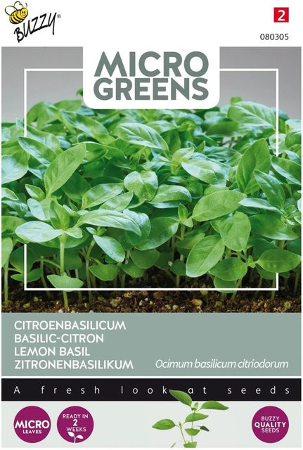Buzzy Microgreens Zitronenbasilikum Saatgut mit frischem Zitrusgeschmack, 1 g - Bild 1