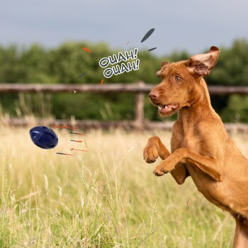 Petsation Kauspielzeug Ball, blau - Bild 3