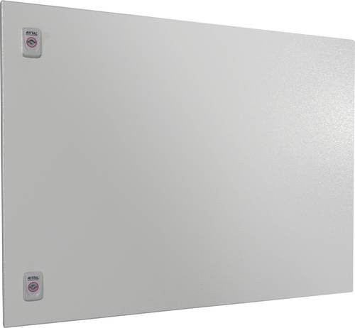 Rittal Teiltür aus Stahl in Grau B: 80 cm, H: 60 cm - Bild 1