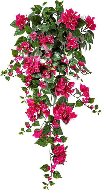 Künstliche Bougainville Erna von Aplanta in Fuchsia und Pink, Höhe: 100 cm - Bild 1