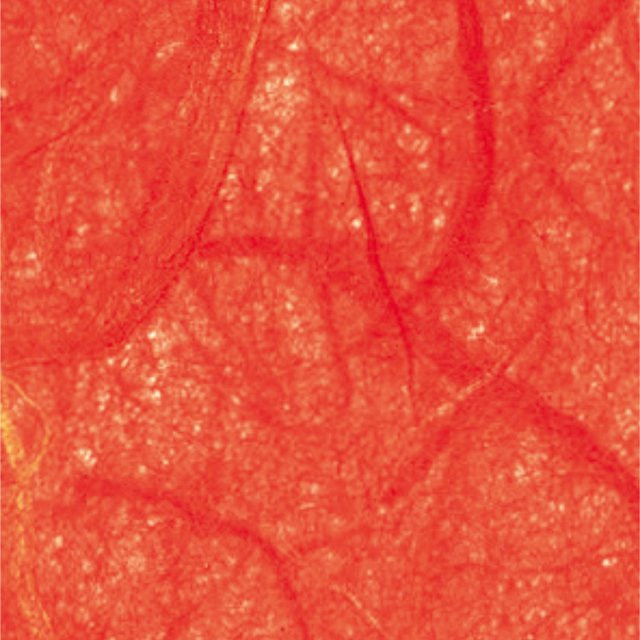 folia Faserseide Naturpapier aus Maulbeerbaumfasern in Orange, B: 47 cm, H: 64 cm - Bild 1