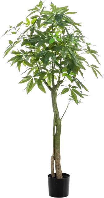 Künstliche Pflanze Aplanta Pachira Pablo, Höhe: 150 cm - Bild 1