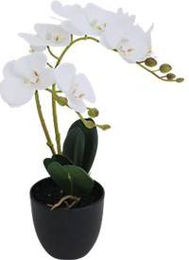Weiße Orchidee Kunstpflanze von meet by Paperflow mit Kunststoff-Topf, Höhe: 40 cm - Bild 1