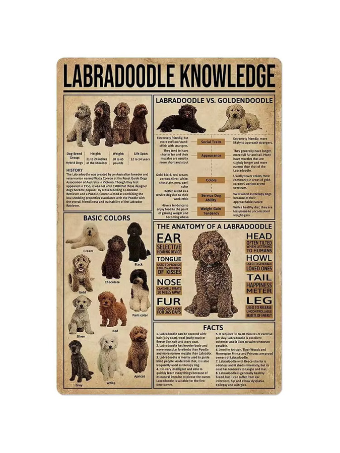 Potdemiel Labradoodle Hund Anatomie Metallschild buntes Blechposter für Wanddekoration B: 30 cm, H: 20 cm, T: 1 cm - Bild 2