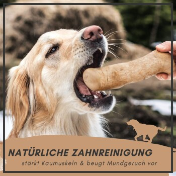 Supravit Kaffeeholz, Kauspielzeug für Hunde, Größe L - Bild 3