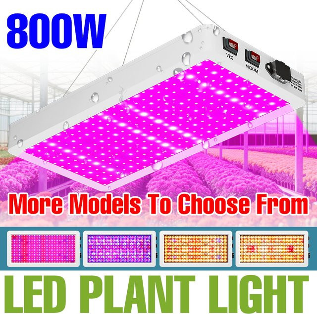 NJHIKG 800W LED Vollspektrum Pflanzenlampe mit UV-Licht für Indoor-Hydrokulturen und Gewächszelte in Weiß - Bild 1