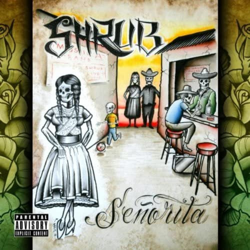 CD Senorita von CD Shrub, Rock Musik Album, Rastatari Records, 2010, Gebraucht, Grau/Mehrfarbig - Bild 1