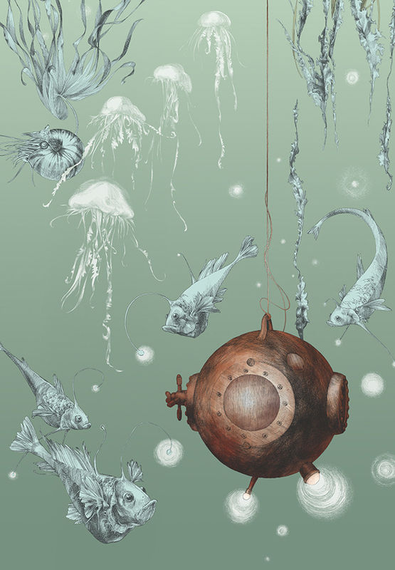 Edmond Petit Meeres-Tapete Nautilus droit in Aqua mit maritimen Motiven und Naturmotiven aus Vlies - Bild 3
