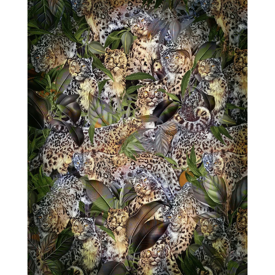 Komar Vliesfototapete Wild Cats Multicolor B: 200 cm, H: 250 cm - Bild 2
