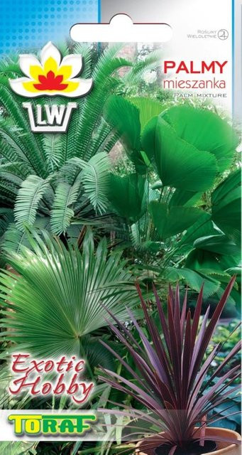 Toraf Palmbaum-Samenmix für Haus und Garten zur Topfkultur, exotische Palmen zur ganzjährigen Aussaat - Bild 1