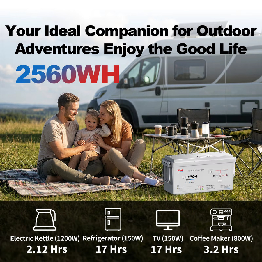 SANDISOLAR LiFePO4 Batterie 12,8V 200Ah mit 2560Wh, Bluetooth, LCD-Display und 100A BMS, Grade-A-Zellen für Wohnmobile, Solar, Off-Grid und Boote - Bild 4