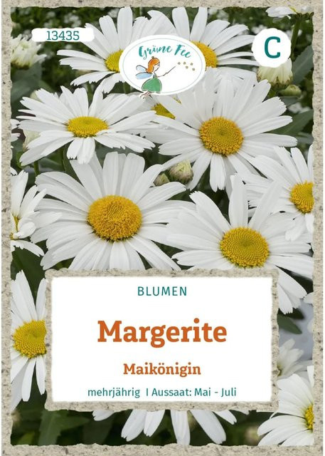 Grüne Fee Margerite Maikönigin Saatgut für Beete, Rabatten und Vasen - Bild 1