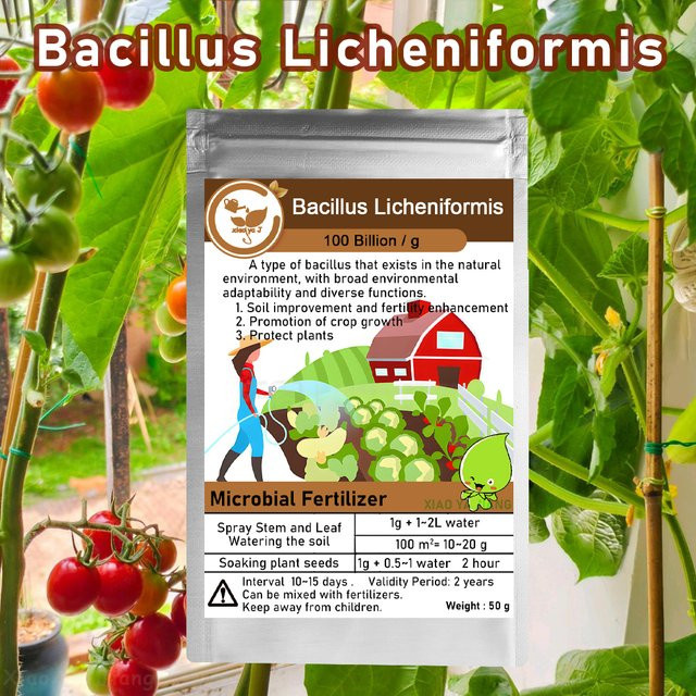 xiaoyajiang Bio-Dünger Bacillus Licheniformis mit 100 Milliarden Mikroorganismen für die organische Landwirtschaft, 50 g - Bild 1