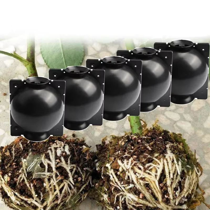 5 Stück transparente Wurzelballen-Zuchtboxen für die Pflanzenanzucht und Aussaat im Garten oder Kindergarten - Bild 6