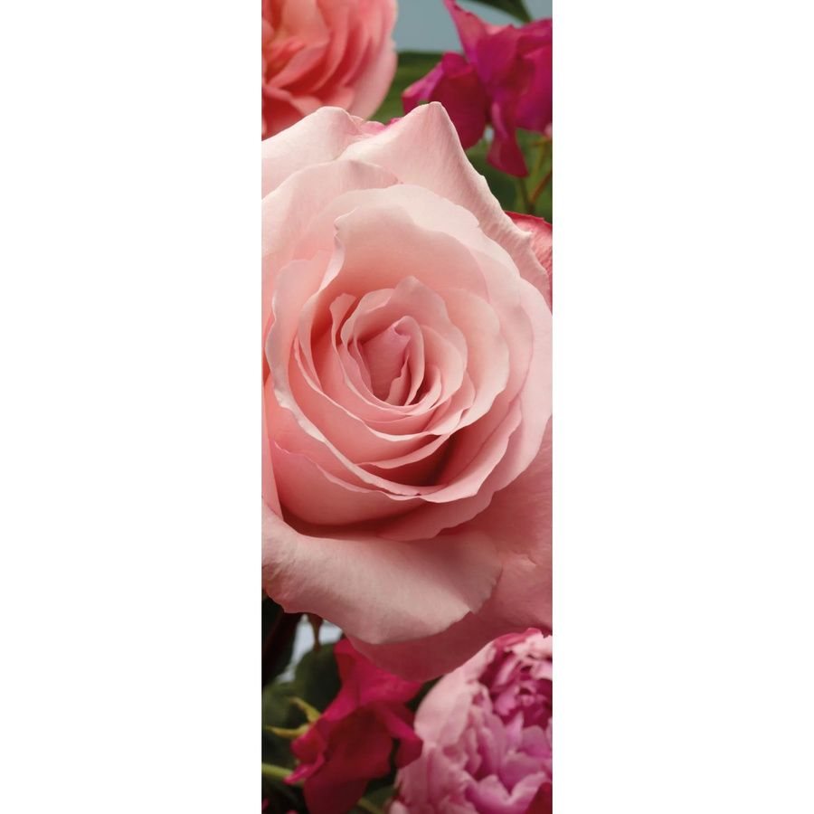 Komar Fototapete Vlies Rosenduft B x H: 100 x 280 cm - Bild 2
