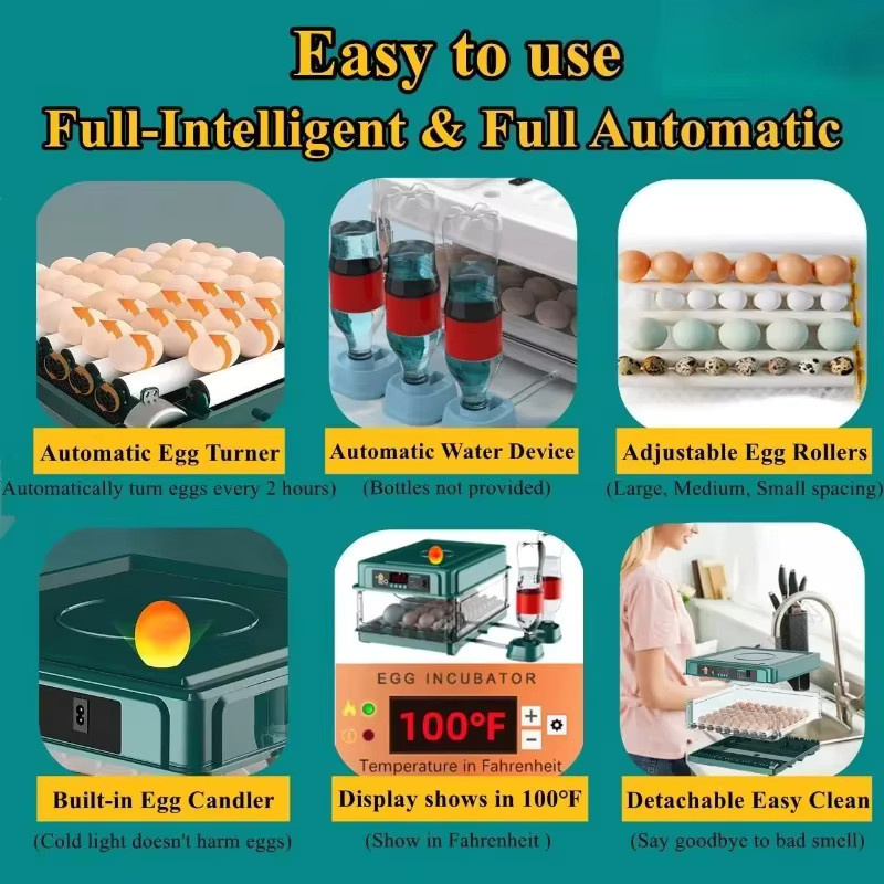 Bromose Vollautomatischer All-in-One Intelligenter Eierinkubator mit LED und Wasserschale zur Temperatur- und Feuchtigkeitsregelung inklusive Brutwerkzeugen für Hühner, Enten, Gänse, Tauben und Papageien - Bild 5