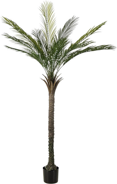 Künstliche Palme Pitus von Aplanta, Höhe: 180 cm - Bild 1