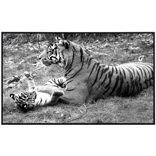 papermoon EcoHeat Infrarotheizung Tiger Schwarz Weiss mit App-Steuerung und Überhitzungsschutz - Bild 2