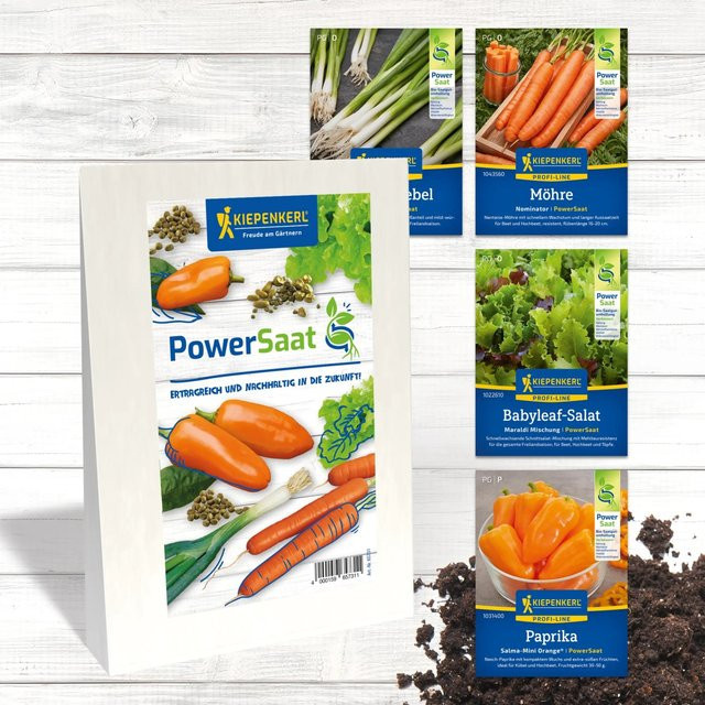 Kiepenkerl PowerSaat Gemüsesamen-Set mit 30 g - Bild 1