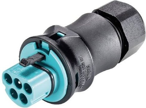 Wieland Electric 96.052.4053.6 Steckverbinder in Türkis und Multicolour - Bild 1