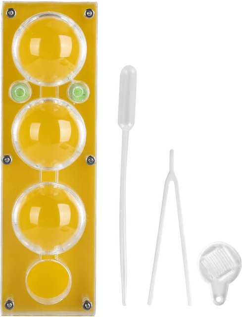 CosyHome Ameisen Zucht Box, Transparent, Feuchtigkeitsspendende Fütterung, Kinder Ameisen Haus Spielzeug, yellow - Bild 1