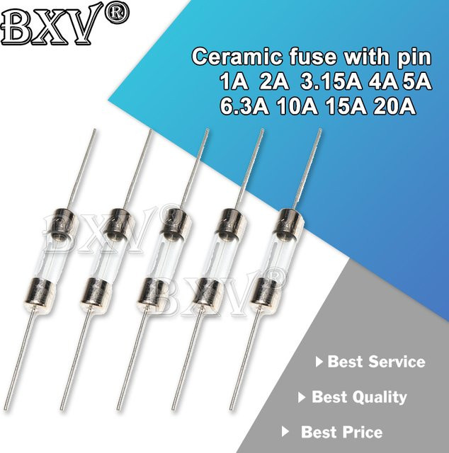 Pumudssy Keramik-Sicherungssatz 10 Stück Slow Blow Sicherungen mit Pin, Maße: B: 5 mm, H: 20 mm, 250V - Bild 1