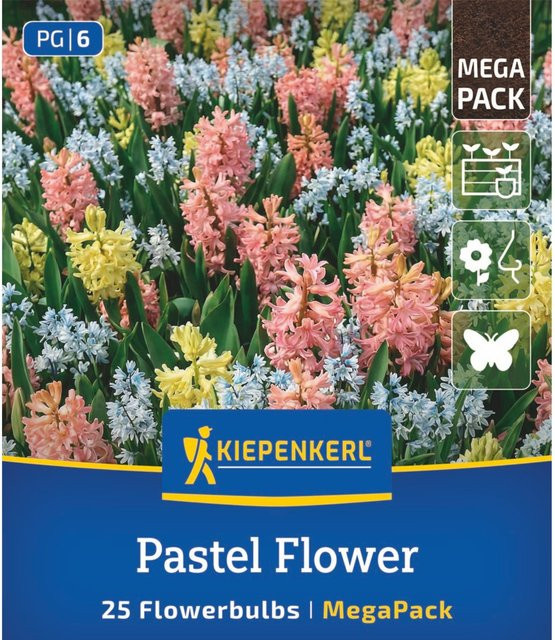 Kiepenkerl Mega-Pack Blumenzwiebelmischung Pastel Flower, bunt, 25 Stück - Bild 1