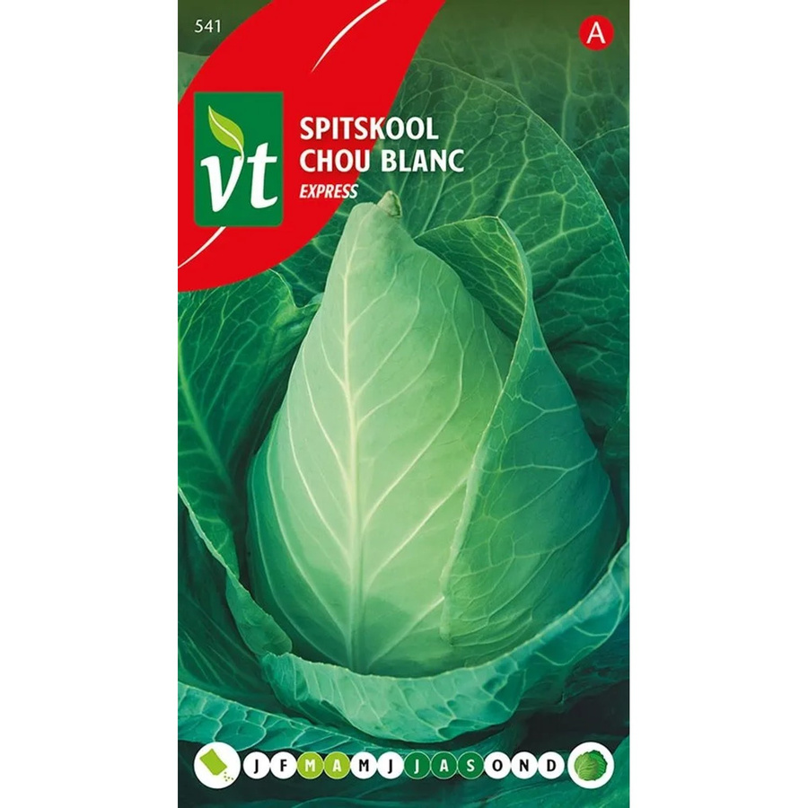 Arborix Rosenkohl Express Samen, schnellwachsendes Gemüse, 2 g - Bild 2