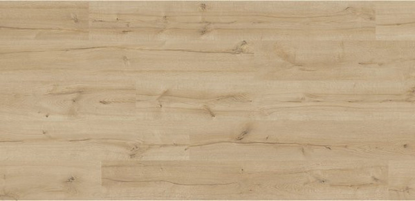 Kaindl Proganic Laminat Eiche Wateford in Holzoptik, wasserfest, 8,5 mm Stärke
