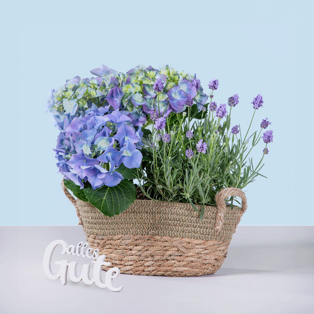Holzschriftzug Alles Gute von BLUME2000 für den Außenbereich - Bild 1