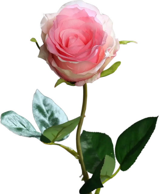 Künstliche Rose Efgenia von Aplanta, halboffen, Höhe: 48 cm - Bild 1