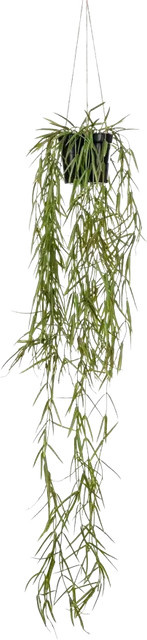 Künstliche Hänge-Hoya Kurt von Aplanta, grüne Pflanze, Höhe: 80 cm - Bild 1