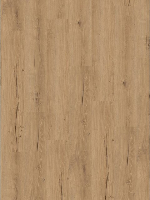 Parador Klick-Vinylboden Basic 30 Eiche Bergamo Natur in Braun mit gebürsteter Struktur und Holzoptik - Bild 1