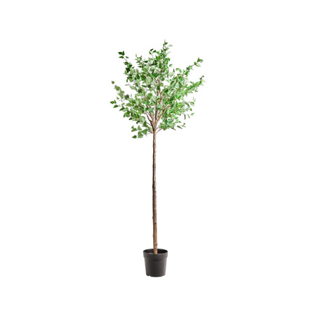 House Doctor Kunstbaum Hornbeam grün Durchmesser: 70 cm, Höhe: 235 cm