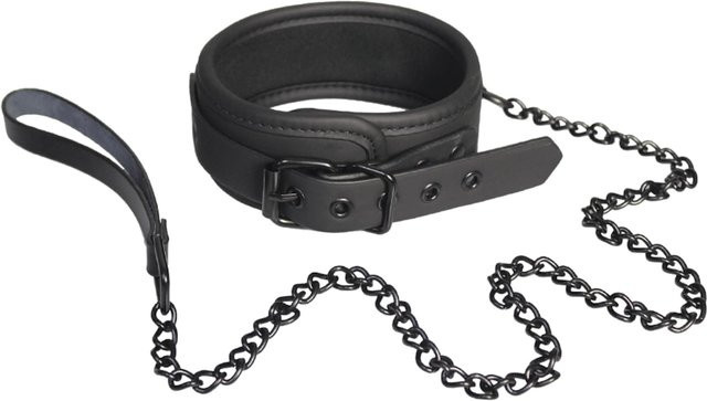 Dream Toys Collar and Leash - Bild 1