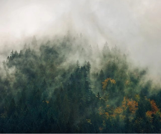 Komar Fototapete Vlies Tales of the Carpathians Multicolor B: 300 cm, H: 250 cm - Bild 1
