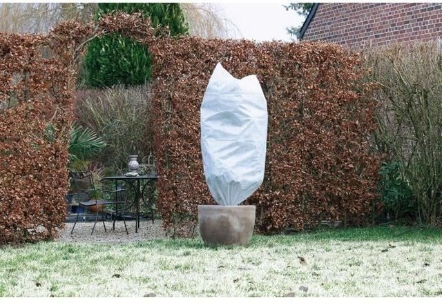 NATURE 3er-Set Winterabdeckung Weiß, Ø 50 cm x 1 m, 50 g/m² - Bild 1