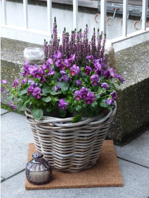 Proflora 4er Set Kokosfaser Mulchmatten als Topfuntersetzer und Baumschutz in Natur Braun, B/T: 30 x 30 cm - Bild 1