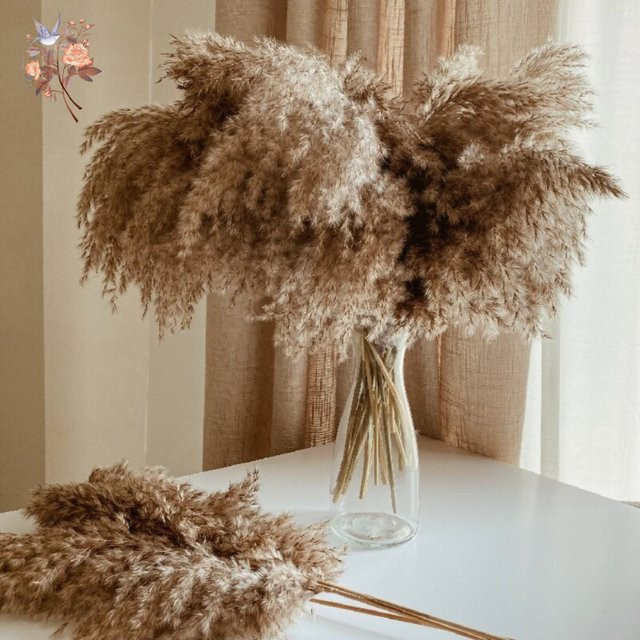 10er Set Flauschiges Pampasgras Bouquet von YN HI FLOWER ENJOY YOUR LIFE in Beige und Gelb für Boho Home Decor, Hochzeit und Weihnachten - Bild 1