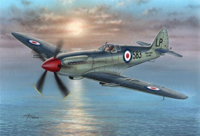 Special Hobby Supermarine Seafire Mk.45, Modell, 1:72, Grau - Bild 1