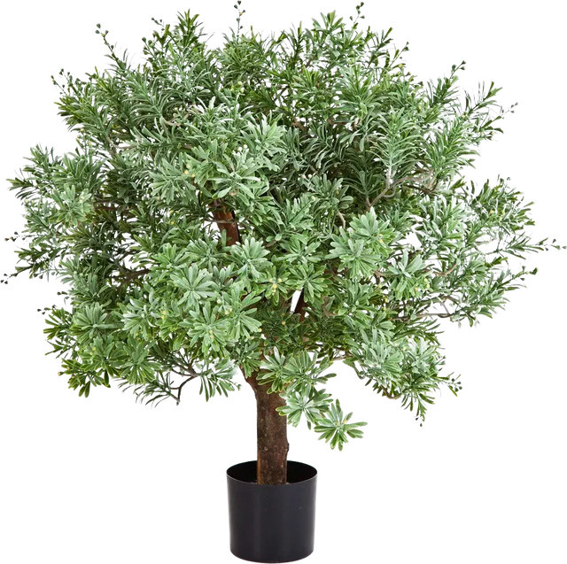 Künstlicher Crossostephium Baum Peer von artplants in Grün, Höhe: 60 cm - Bild 1