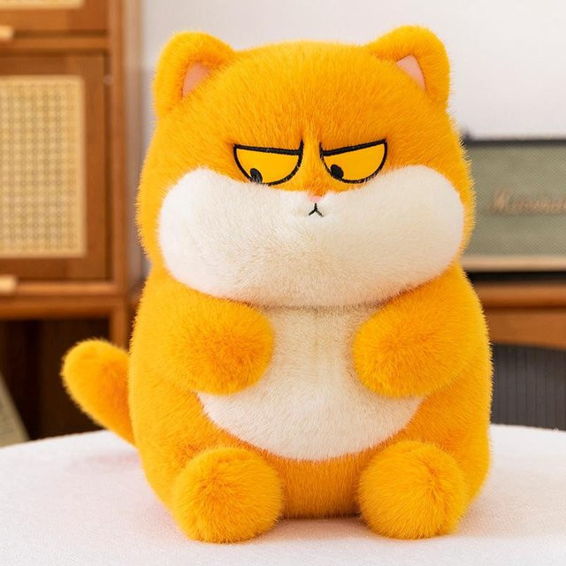 Yiran Health & Beauty Lustiger Ausdruck Katze Plüschtier, Orange, 35cm - Bild 1